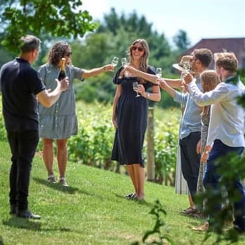 Chapel Down Vineyard Guided Tour & Tasting for Two